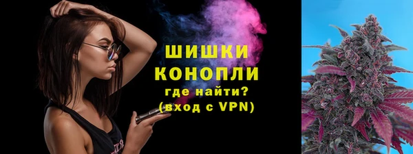ПСИЛОЦИБИНОВЫЕ ГРИБЫ Наволоки