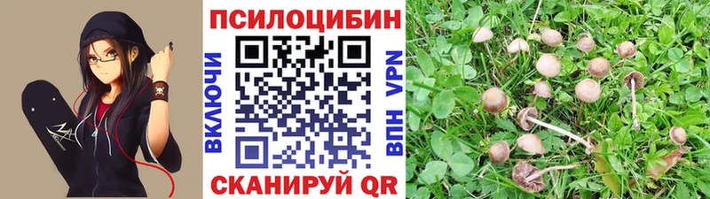 Псилоцибиновые грибы Magic Shrooms  кракен tor  Похвистнево 